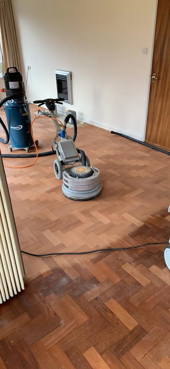 floor sanding after pet urine damage