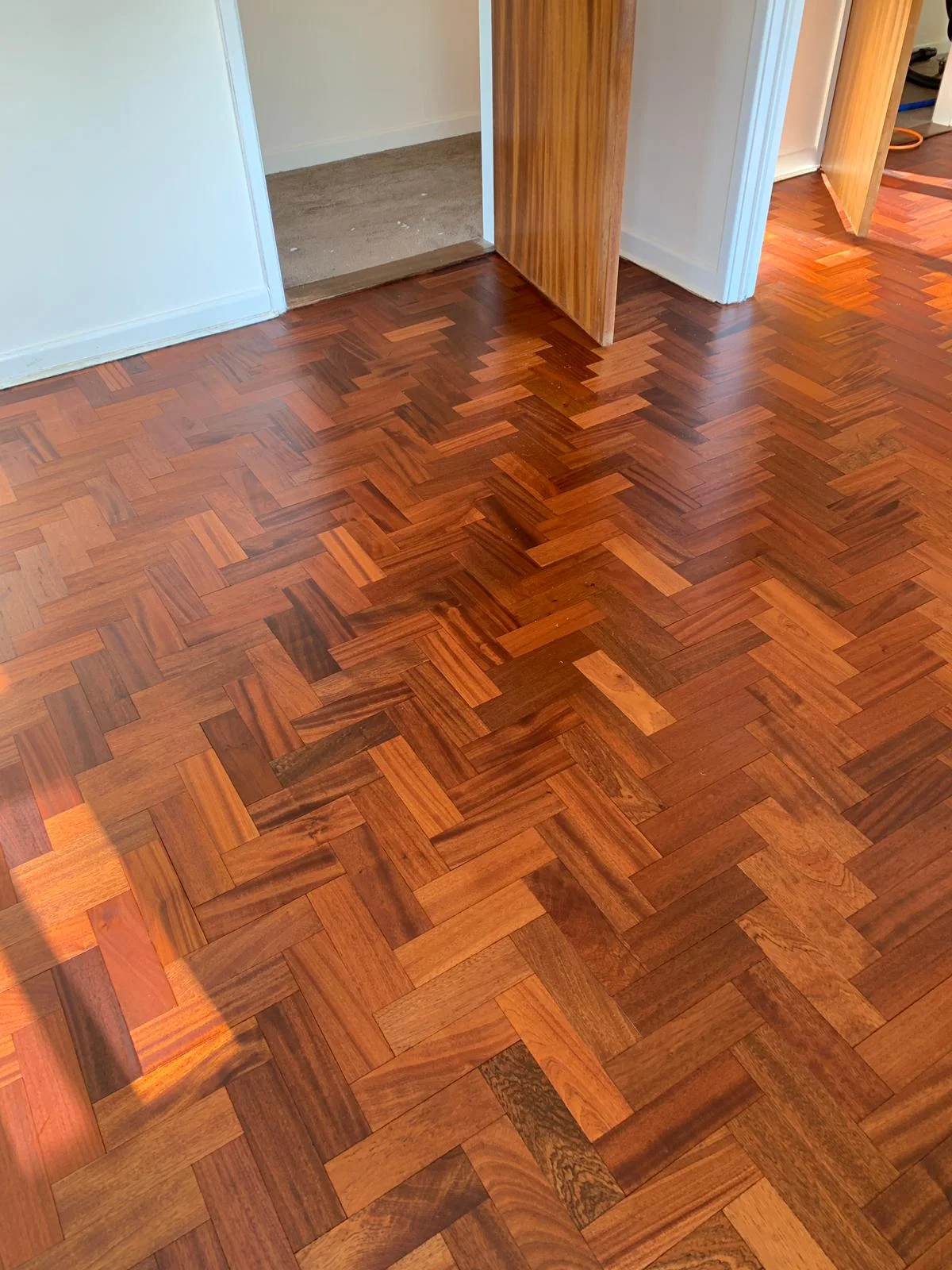 wood floor restored after pet urine damage